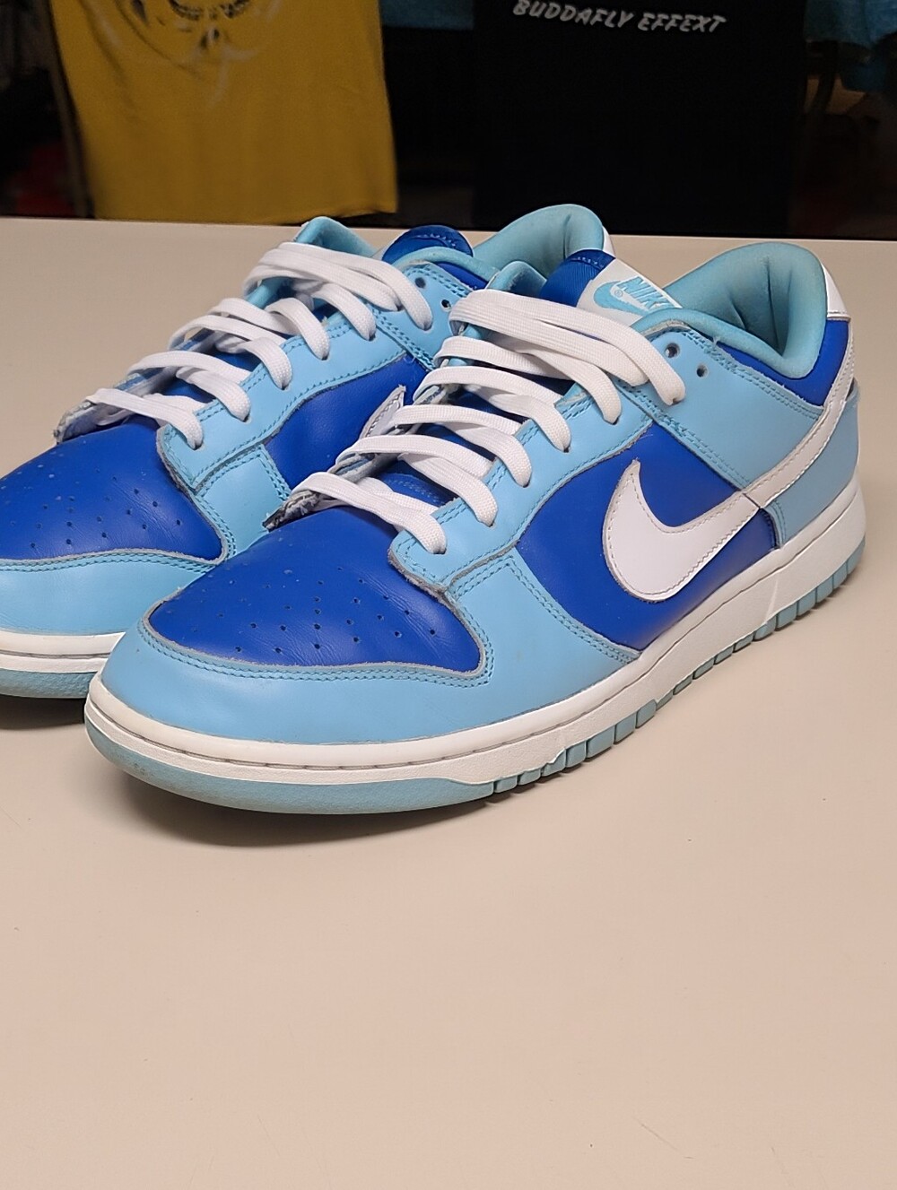 Nike Dunk Low Retro QS Argon casual low top skateboard sneakers size 11